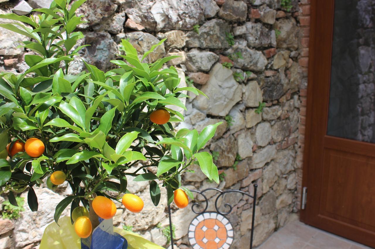 B&B Canneto Monteverdi Marittimo Exteriér fotografie